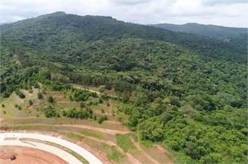 Venta de Terreno para desarrollo en Panamá Norte (Pedregal/Villalobos)
